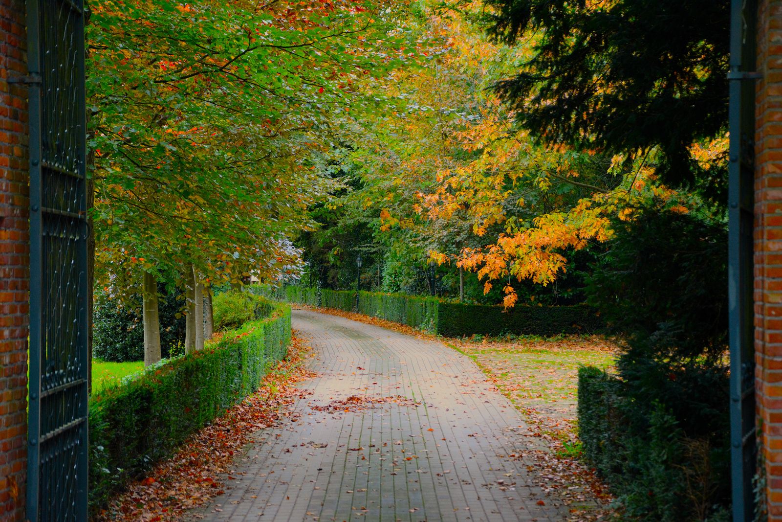 Discernment Counseling: Deciding What Comes Next